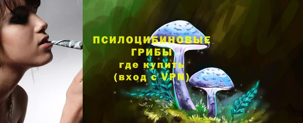 мескалин Бородино