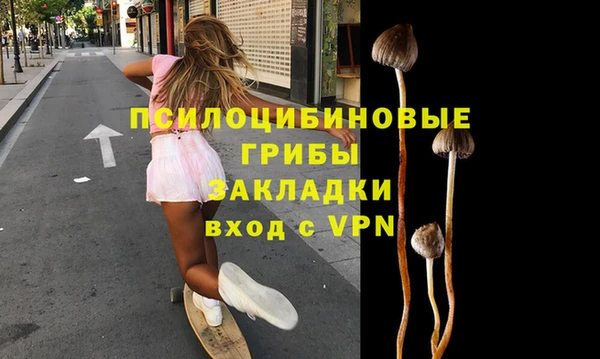 мескалин Бородино