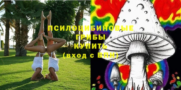 хмурый Алагир