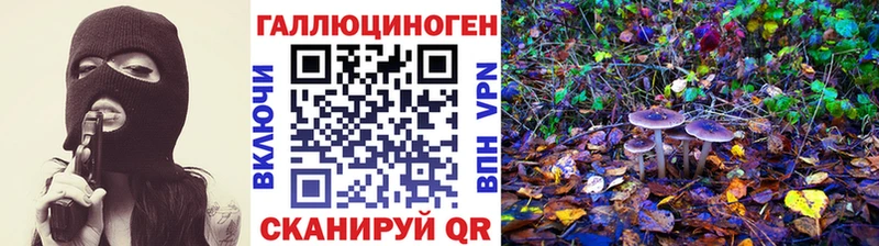 Галлюциногенные грибы прущие грибы  дарнет шоп  Волосово 