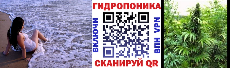 где купить наркоту  Волосово  Каннабис SATIVA & INDICA 